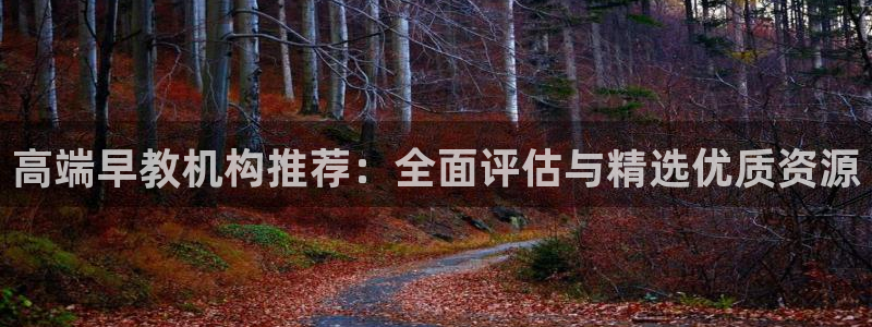 威九国际电视:高端早教机构推荐:全面评估与精选优质资源