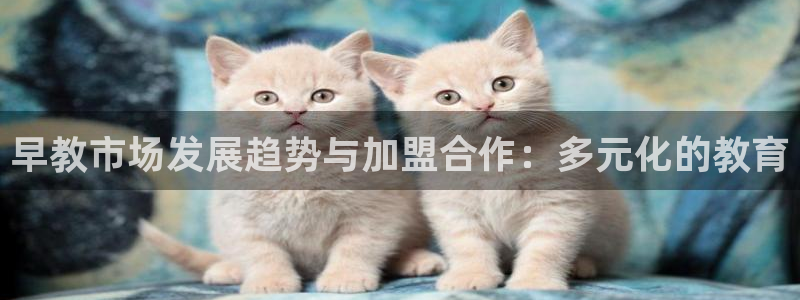 78mapp威九国际免费官方版下载：早教市场发展趋势与加盟合作：多元化的教育
