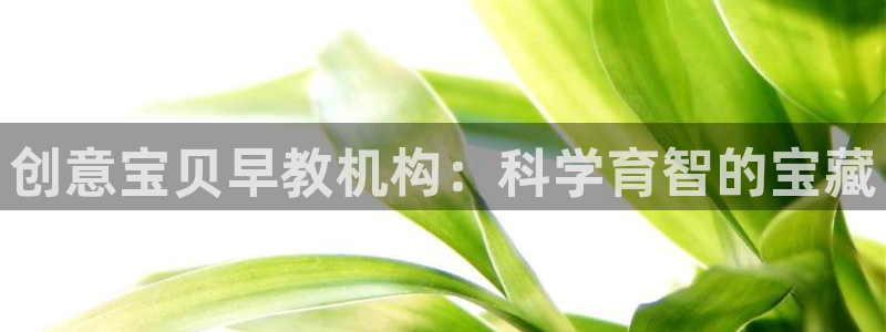 威九国际服：创意宝贝早教机构：科学育智的宝藏