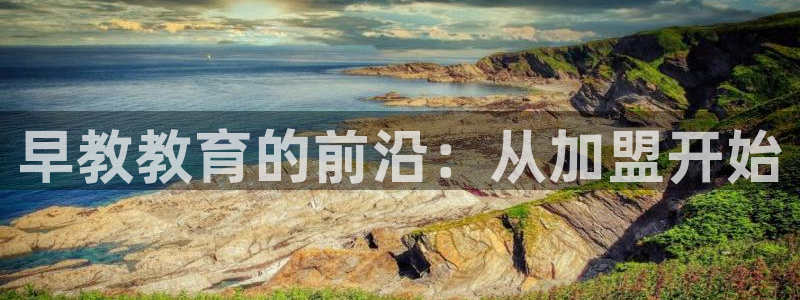威九国际的金融服务怎么样：早教教育的前沿：从加盟开始