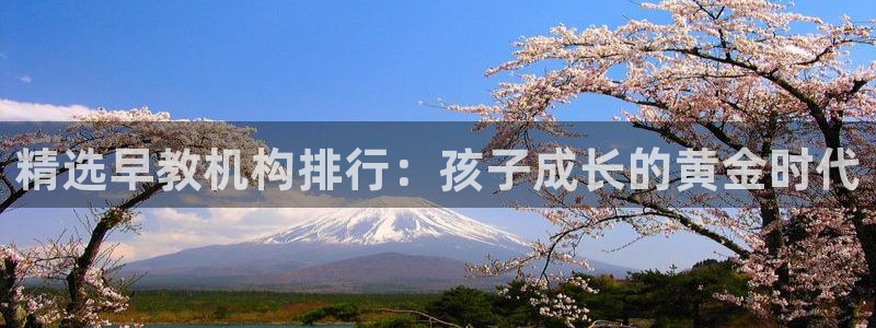 威九国际app入口官网:精选早教机构排行:孩子成长的黄金时代