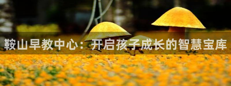 威九国际网站怎么样知乎:鞍山早教中心:开启孩子成长的智慧宝库