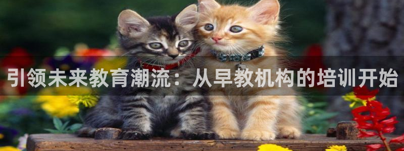 威九国际A:引领未来教育潮流:从早教机构的培训开始