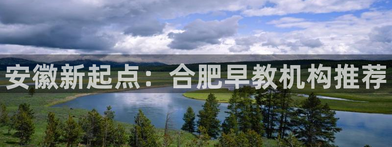 威九国际小说:安徽新起点:合肥早教机构推荐