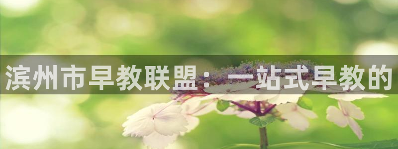 78m.ppt威九国际官网版:滨州市早教联盟:一站式早教的