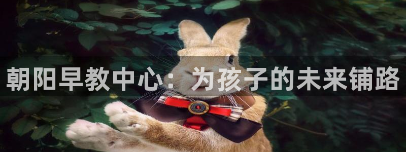 威九国际软件:朝阳早教中心:为孩子的未来铺路