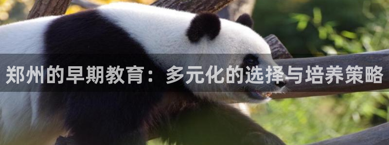 威九国际78mob游戏特色:郑州的早期教育:多元化的选择与培养策略