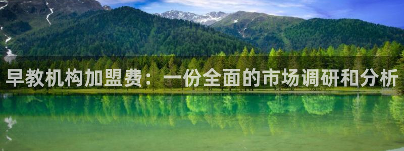 威九国际可以赚到钱:早教机构加盟费:一份全面的市场调研和分析