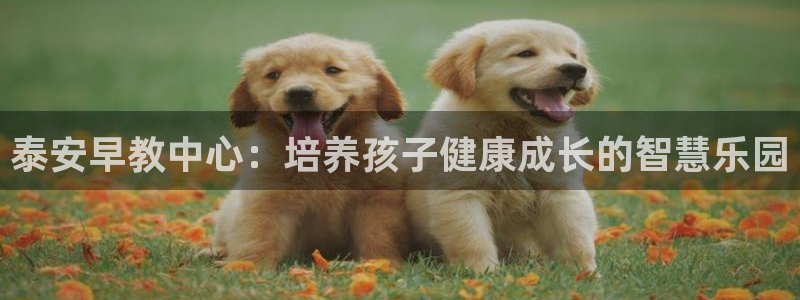 威九国际ppt免费吗:泰安早教中心:培养孩子健康成长的智慧乐园