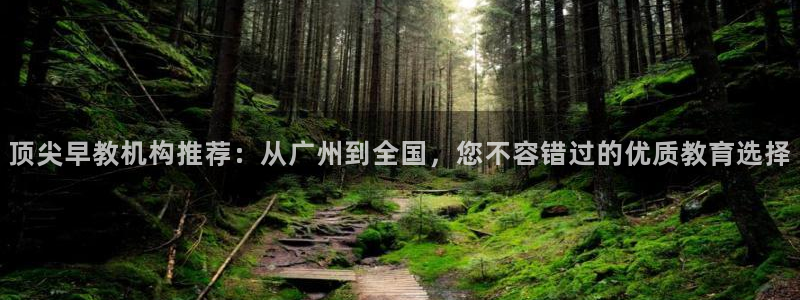 威九国际78m域名:顶尖早教机构推荐:从广州到全国,您不容错过的优质教育选择