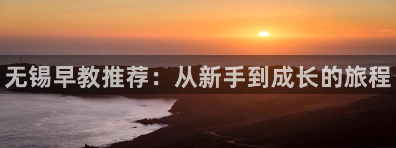 保定威九网络科技有限公司是干嘛的:无锡早教推荐:从新手到成长的旅程