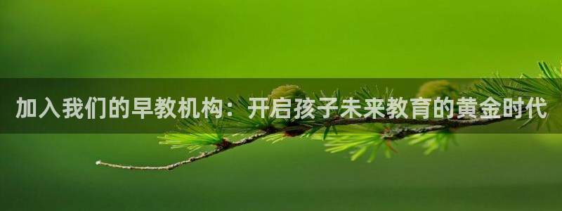 威九国际软件公司简介:加入我们的早教机构:开启孩子未来教育的黄金时代